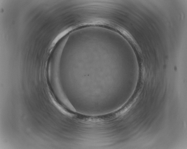 X0000082700842200701261244