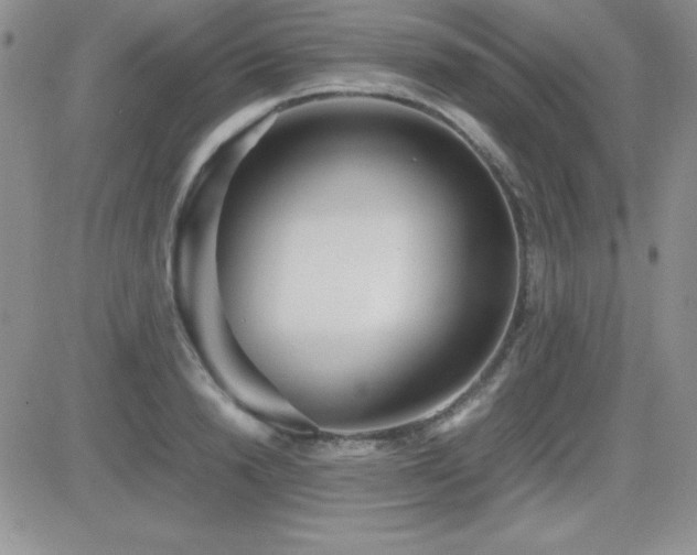 X0000082700846200701261244