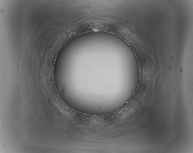 X0000082700865200701261243