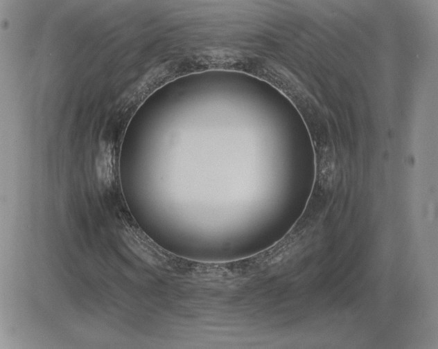 X0000082700866200701261243