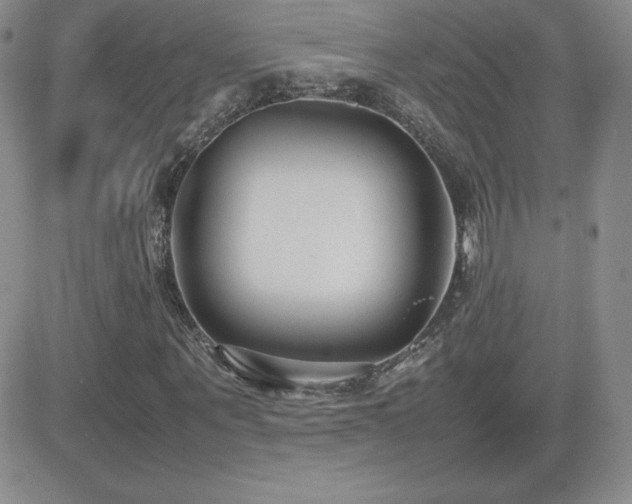 X0000082700867200701261243