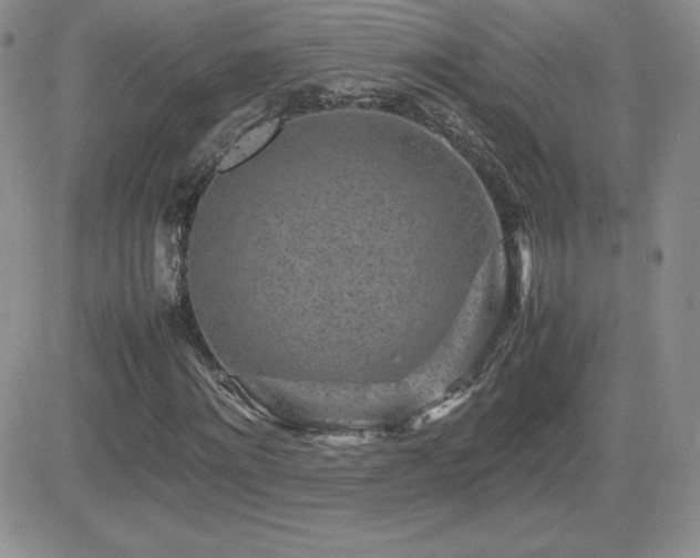 X0000082700868200701261243