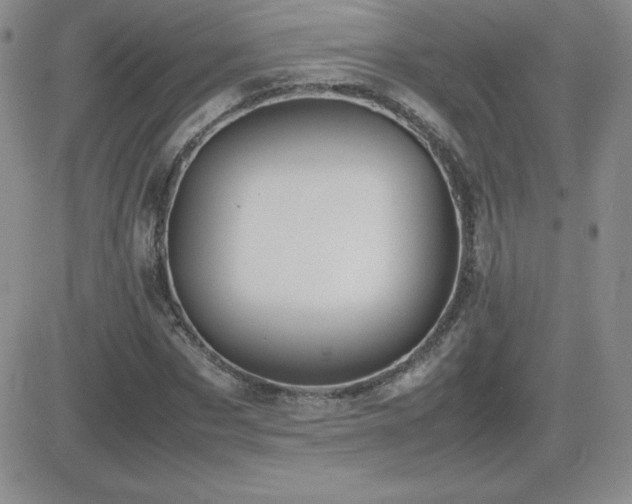 X0000082700873200701261243