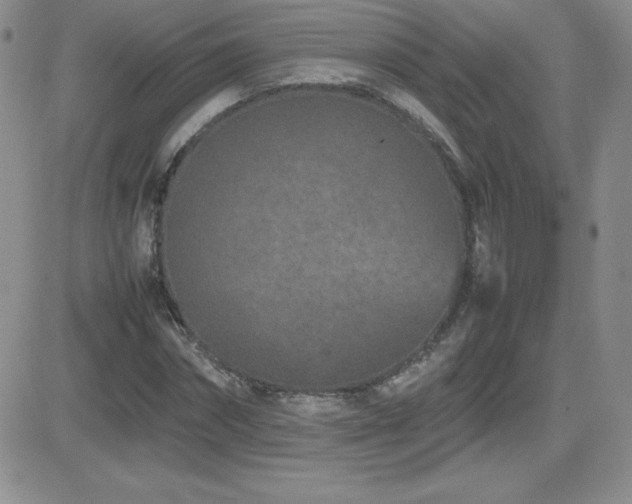 X0000082700874200701261243