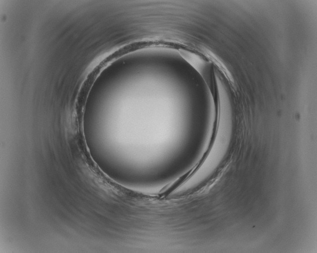 X0000082700876200701261243