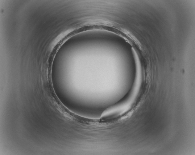 X0000082700877200701261243