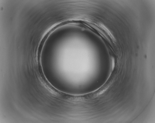 X0000082700884200701261243