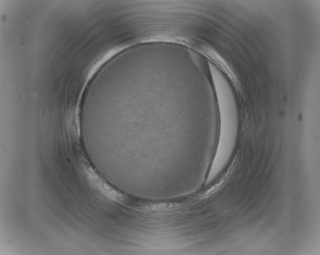 X0000082700892200701261243