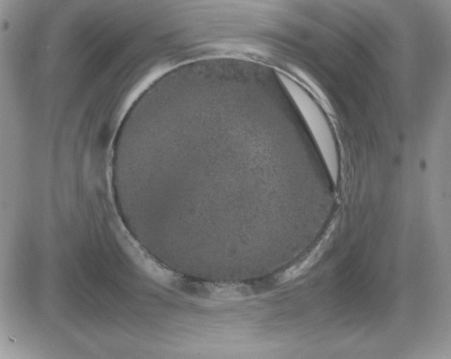 X0000082700899200701261243