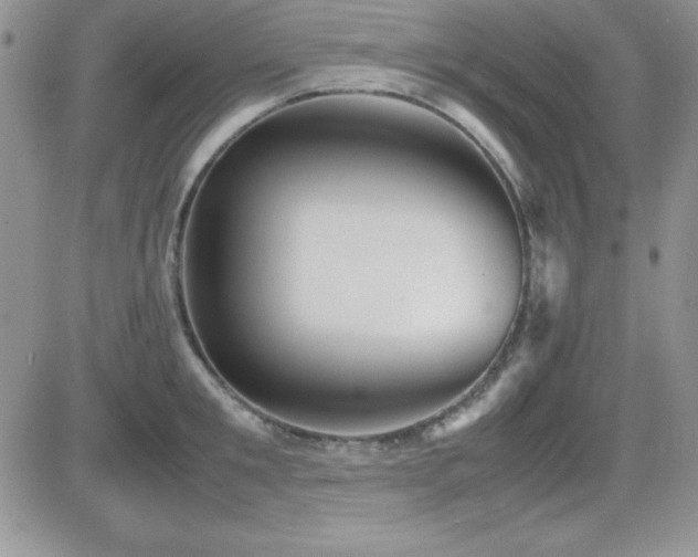 X0000082700901200701261243