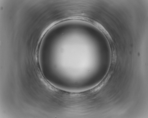 X0000082700908200701261242