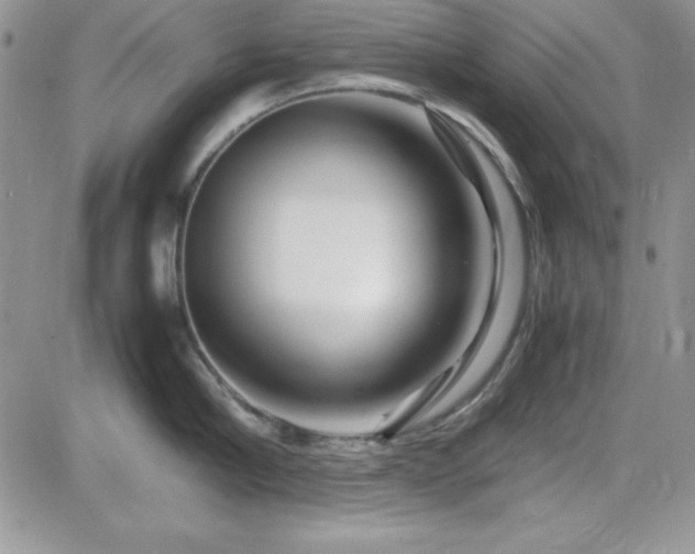 X0000082700910200701261242