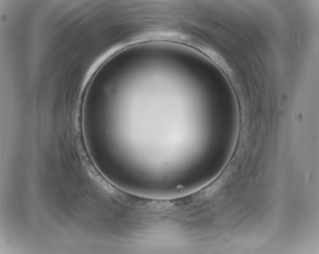 X0000082700912200701261242