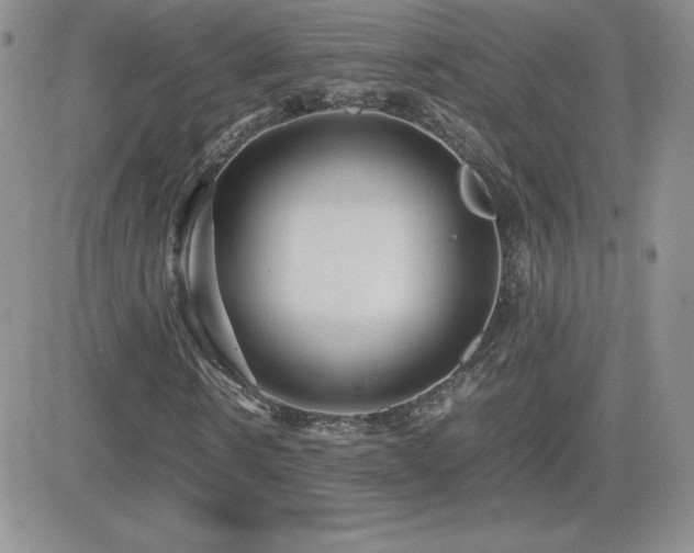 X0000082700914200701261242