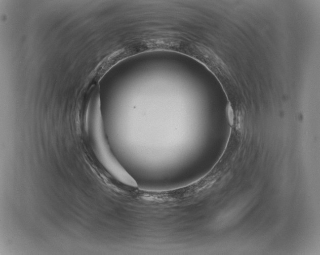 X0000082700915200701261242