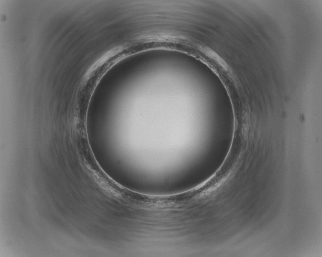 X0000082700922200701261242