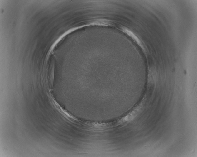 X0000082700923200701261242