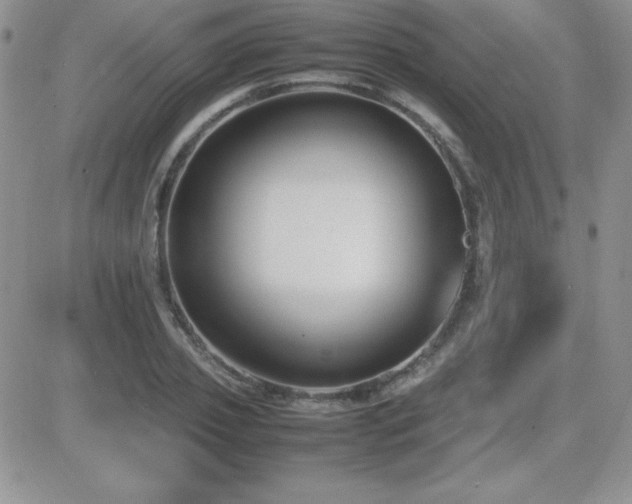 X0000082700933200701261242