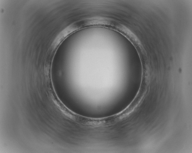 X0000082700937200701261242