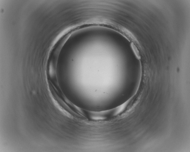 X0000082700942200701261242