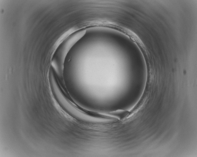 X0000082700946200701261242