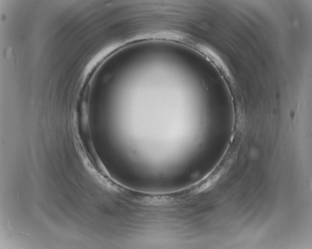 X0000082700952200701261242