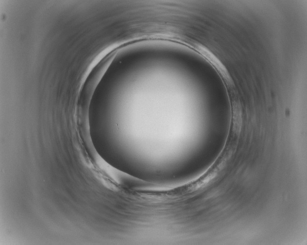 X0000082700956200701261242