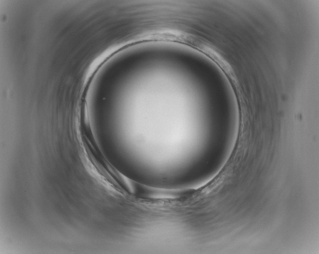 X0000082700960200701261242