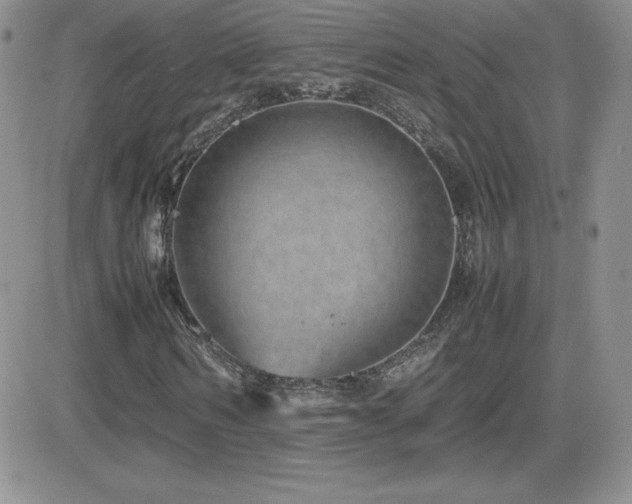 X0000082700962200701261242