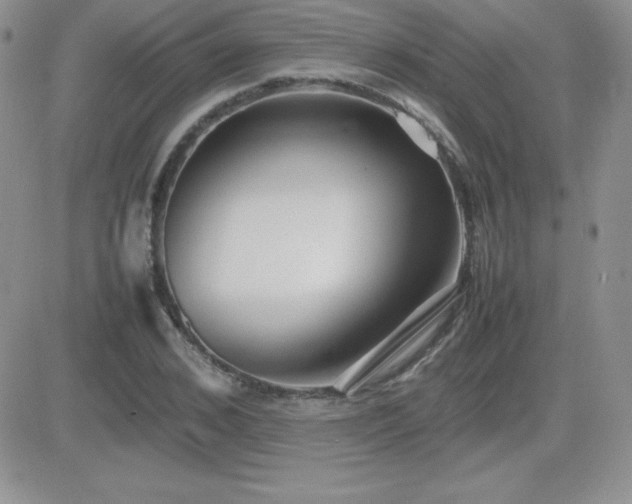 X0000082700976200701261241