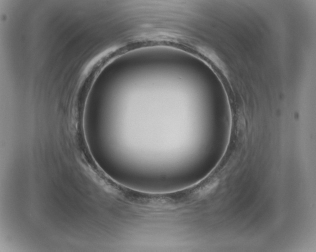 X0000082700979200701261241