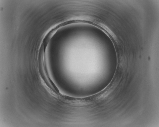 X0000082700980200701261241