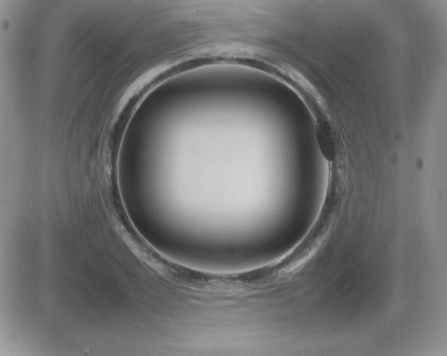 X0000082700981200701261241