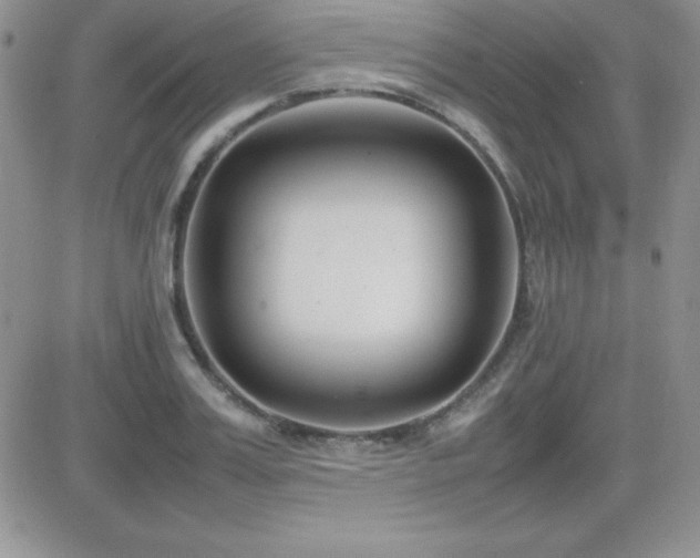 X0000082700987200701261241