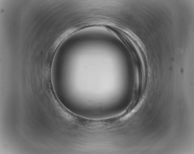 X0000082700993200701261241