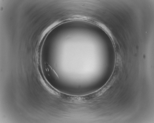X0000082701003200701261241