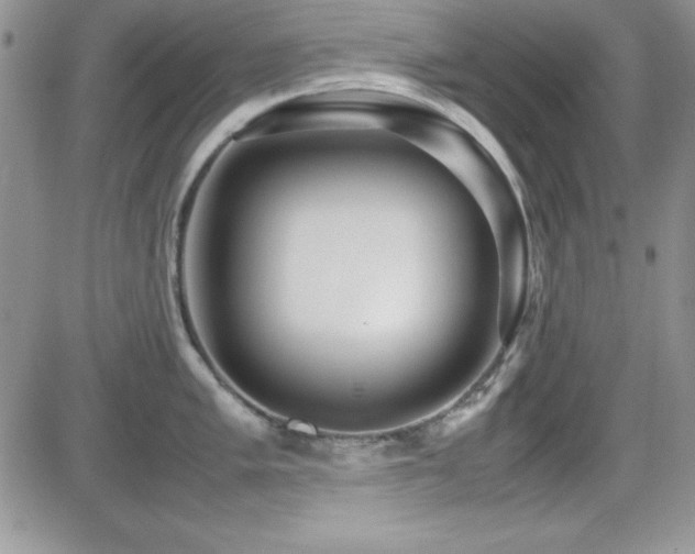 X0000082701005200701261241