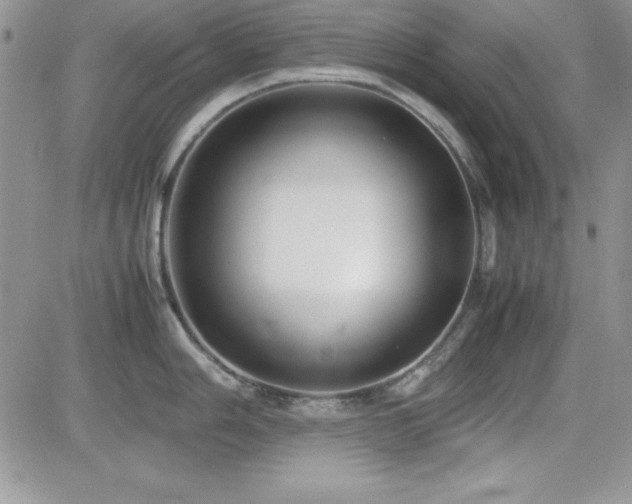 X0000082701006200701261241
