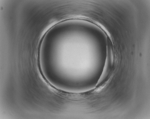 X0000082701007200701261241
