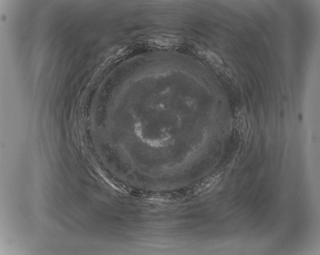 X0000082701009200701261240