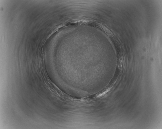 X0000082701010200701261240