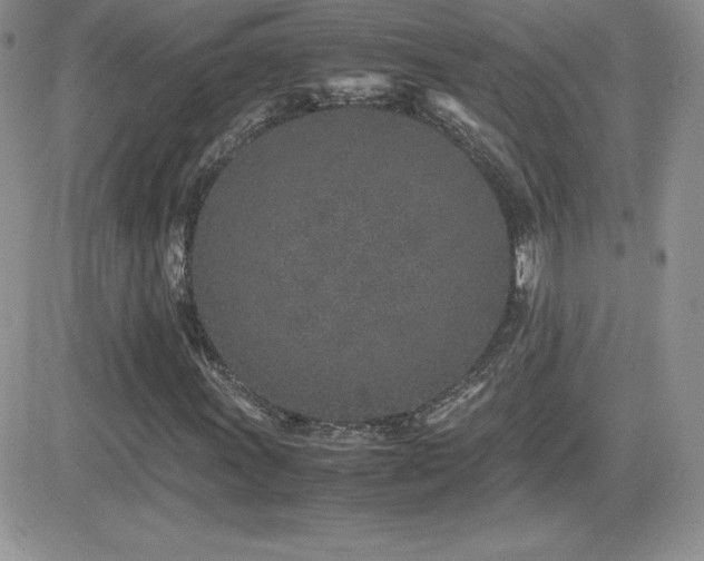 X0000082701011200701261240