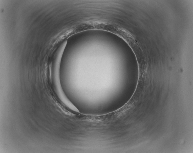 X0000082701014200701261240