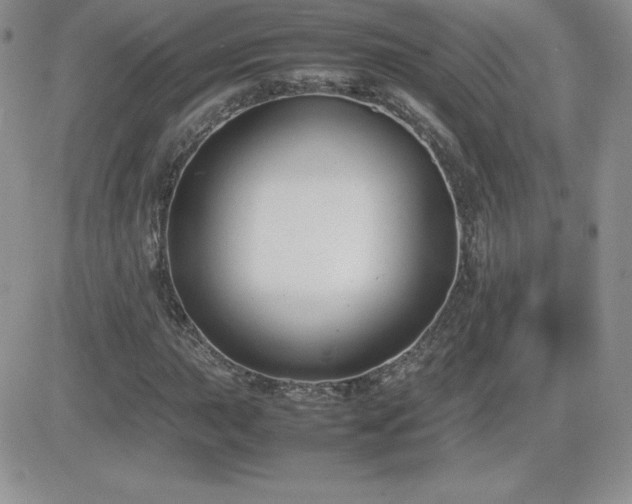 X0000082701015200701261240