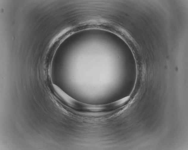 X0000082701018200701261240
