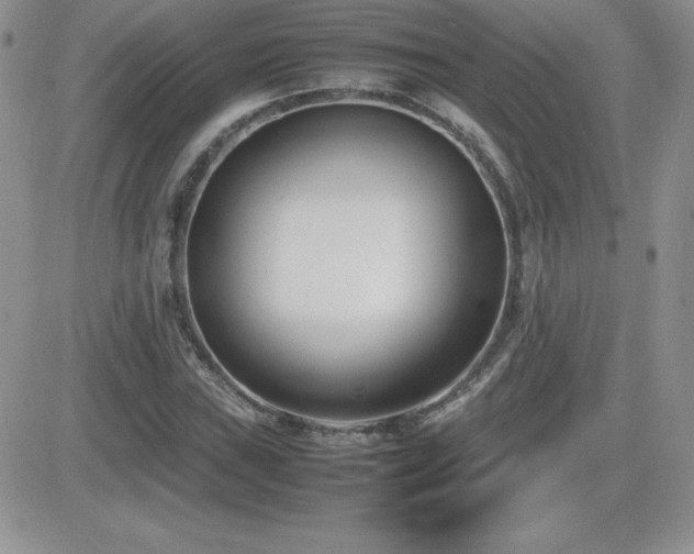 X0000082701019200701261240