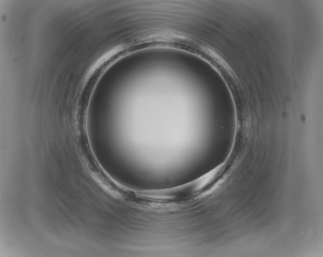 X0000082701026200701261240