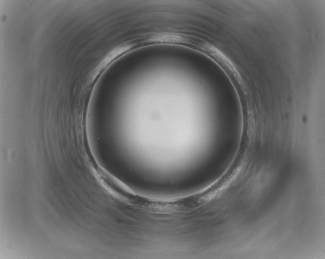 X0000082701041200701261241