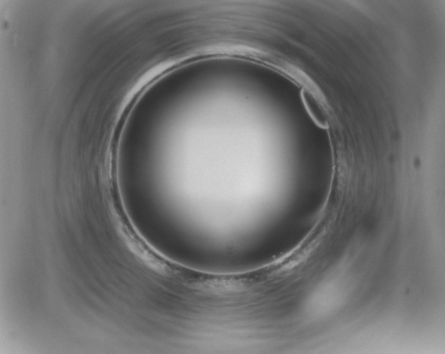 X0000082701044200701261241