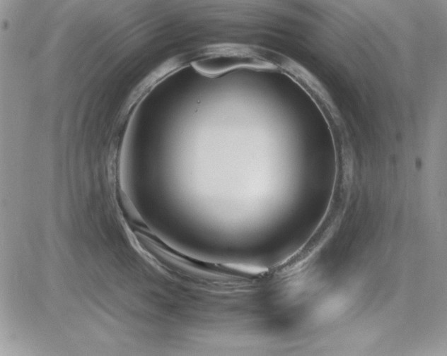 X0000082701049200701261241